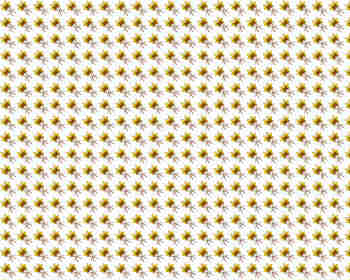 Repetición de la simetría diagonal