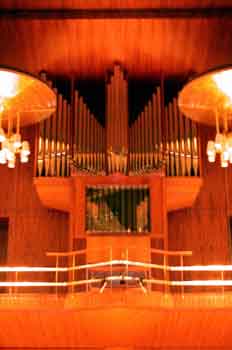 órgano