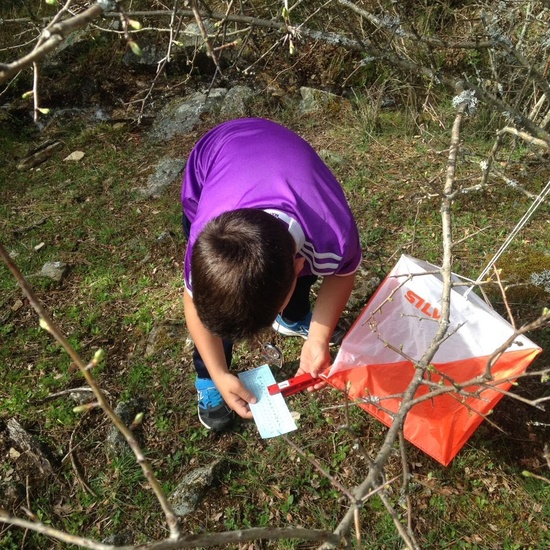 Orientación Deportiva 3