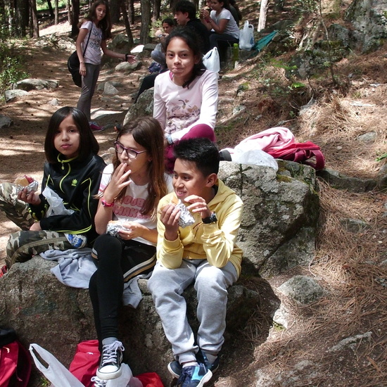 NIÑAS/OS DE 5º . NATURALEZA VIVA EN LA PEDRIZA.HOSTOS POR EL PLANETA 9