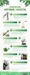 Infografía Preservación de eucalipto