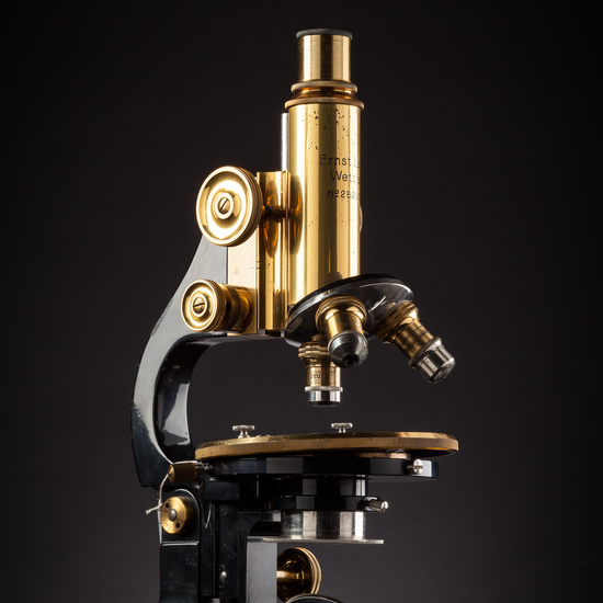 IES_ISABELLACATOLICA_BIOLOGIA_210