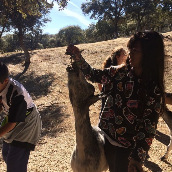 Mohernando 2017_3 44