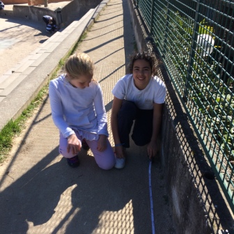 Quinto mide el Colegio 34