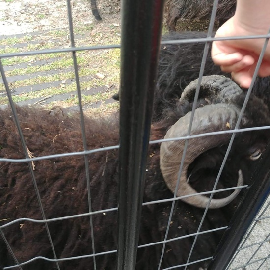 El cole en imágenes 25