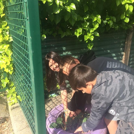 2019_05_Los alumnos de 4º en el Huerto_CEIP FDLR_Las Rozas 36