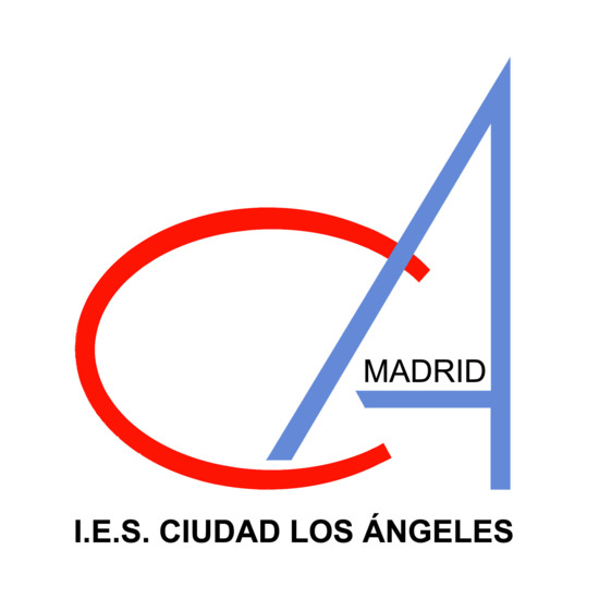 Logo insti