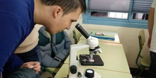 Usando el microscopio 4