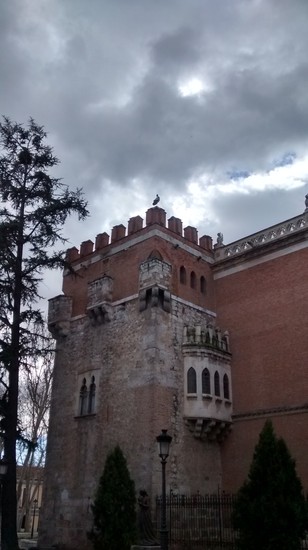 Cigüeñas en Alcala de Henares