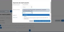 Matrícular una clase entera en el aula virtual