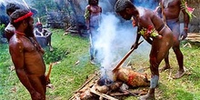 Proceso de preparado ritual de cerdo en West Papúa, Irian Jaya,