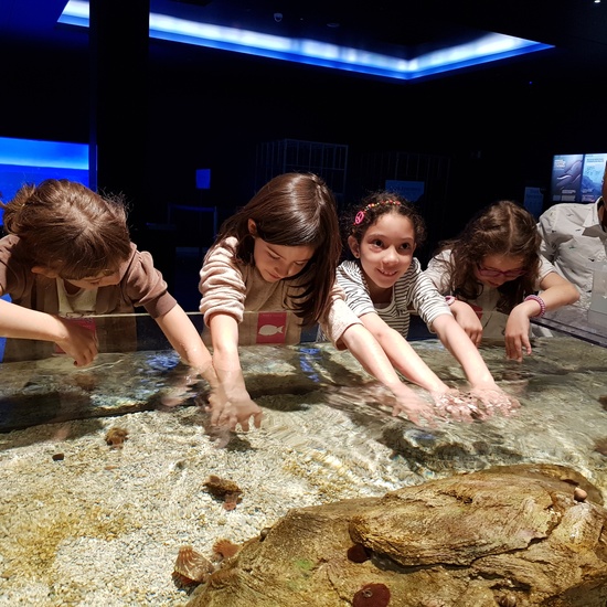 Fotos Aquarium Xanadú 3ºB 2