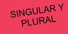 PRIMARIA 1º - SINGULAR Y PLURAL - LENGUA Y LITERATURA - FORMACIÓN