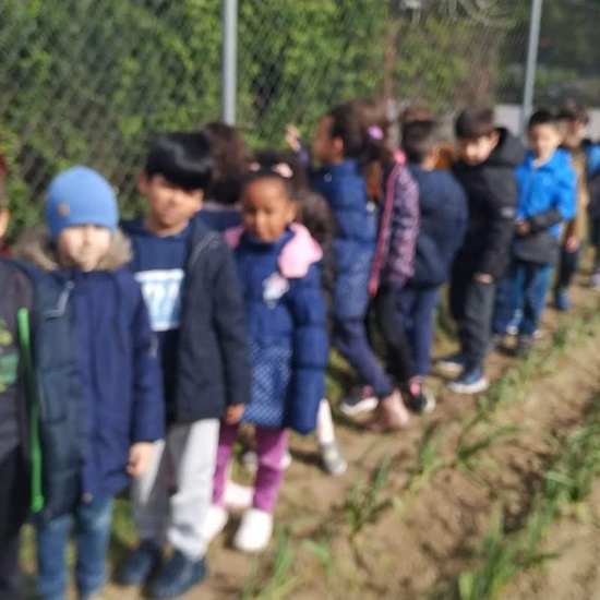 1º de Primaria_Plantamos garbanzo  7
