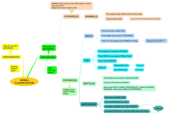 ANIMAL CLASSIFICATION