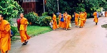 Monjes saliendo de clase, Tailandia