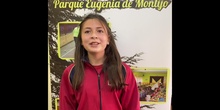 CEIP Parque Eugenia de Montijo AMF