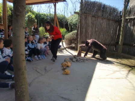 2017_04_04_Infantil 4 años en Arqueopinto 1 13