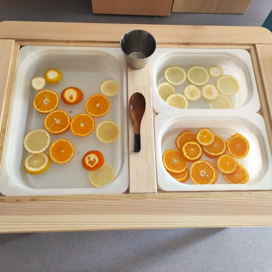 Mesa Experimentacion