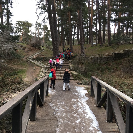 4ºC de Senderismo en la Boca del Asno_CEIP FDLR_Las Rozas 3