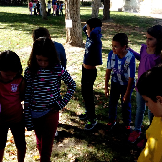 GRANJA SEPTIMA PARTE 35