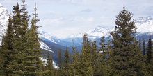 Valle Mistaya y Lago Peyto, Parque Nacional Banff