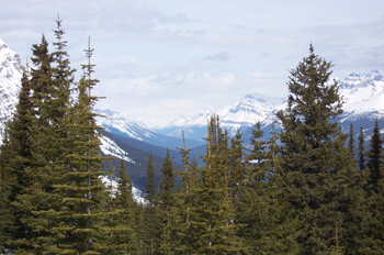 Valle Mistaya y Lago Peyto, Parque Nacional Banff