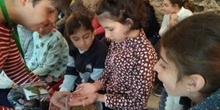 2018_03_16_Tercero visita el Insect Park_CEIP FDLR_Las Rozas 3