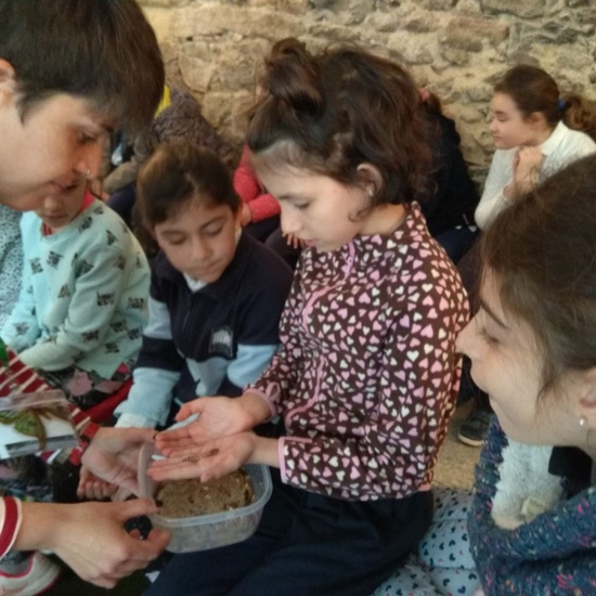 2018_03_16_Tercero visita el Insect Park_CEIP FDLR_Las Rozas 3