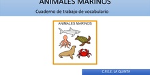 ANIMALES MARINOS 