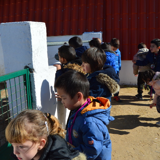 GRANJA ESCUELA ALBITANA 2018 21