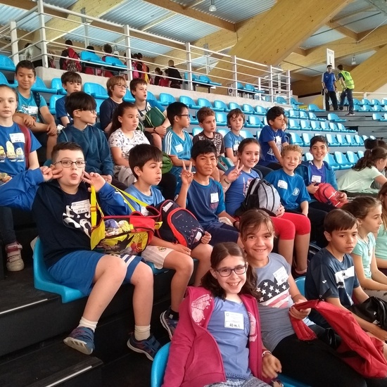 MINIOLIMPIADAS 4º CURSO 5