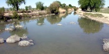 Río Cigüela, Ciudad Real, Castilla-La Mancha