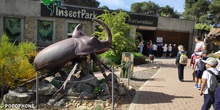 Disfrutando del InsectPark 2°