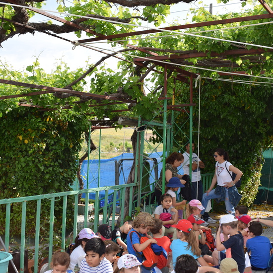 Siembra Huerta Balta 5 años 2018 10