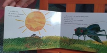 CUENTO: EL GRILLO SILENCIOSO (Eric Carle)