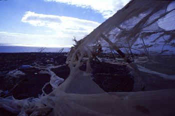 Invernaderos rotos, Canarias