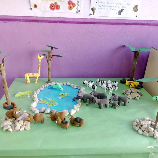ECOSISTEMAS 5º CURSO 9