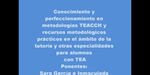 REFLEXIONES PROYECTO METODOLOGÍA TEACCH 2021-2022