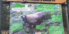 Reserva Takin
