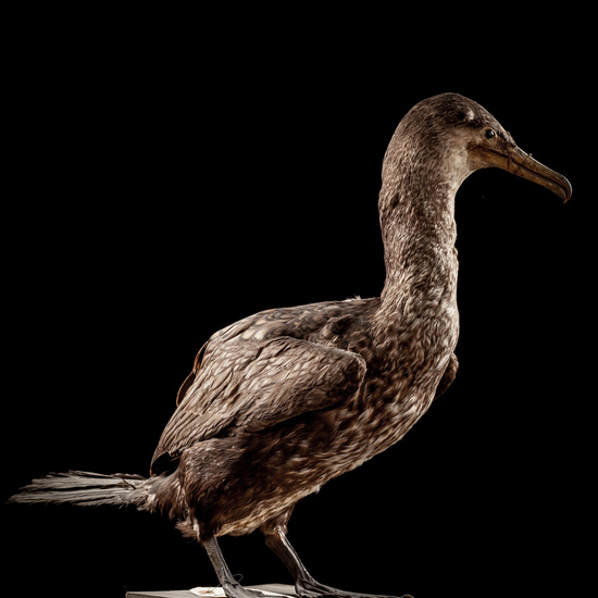 IES_SANISIDRO_BIOLOGIA_037