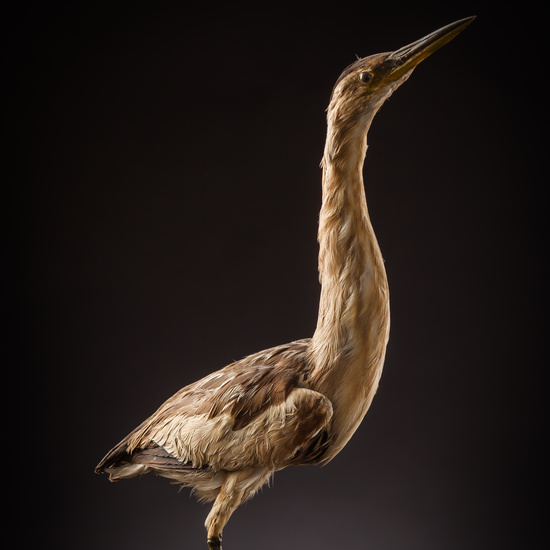 IES_CERVANTES_BIOLOGIA_002