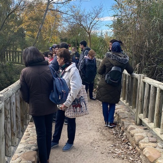 12/11/2019_Polvoranca 2