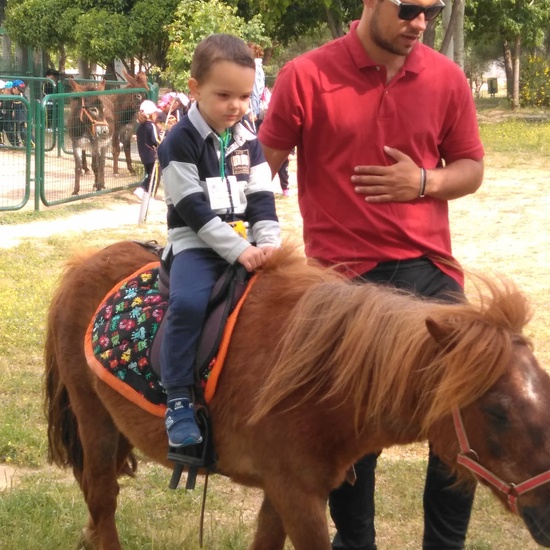 Infantil 3 años en la granja_CEIP Fernando de los Ríos_Las Rozas_2017-2018 14