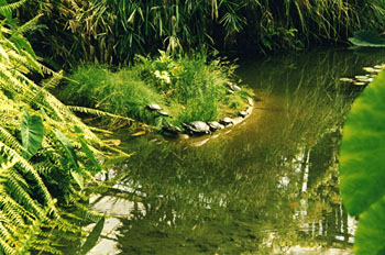Parque Estufa Fría, Lisboa, Portugal