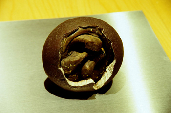 Huevos de dinosaurio (Sauropoda), Museo del Jurásico de Asturias