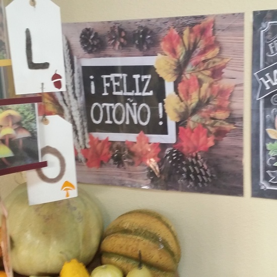 GALERÍA LEPANTO 6 17