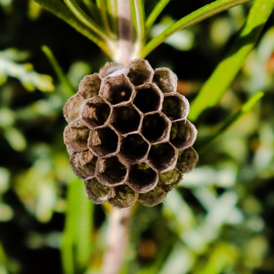 FOTOGRAFÍA MATEMÁTICA 2019 10