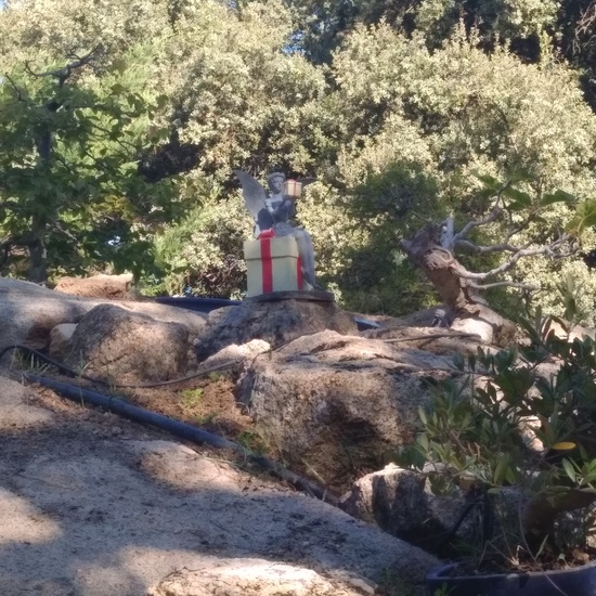 Excursión bosque encantado 5