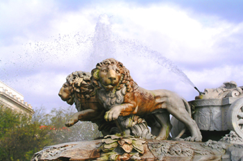 Leones en la Fuente de Cibeles, Madrid
